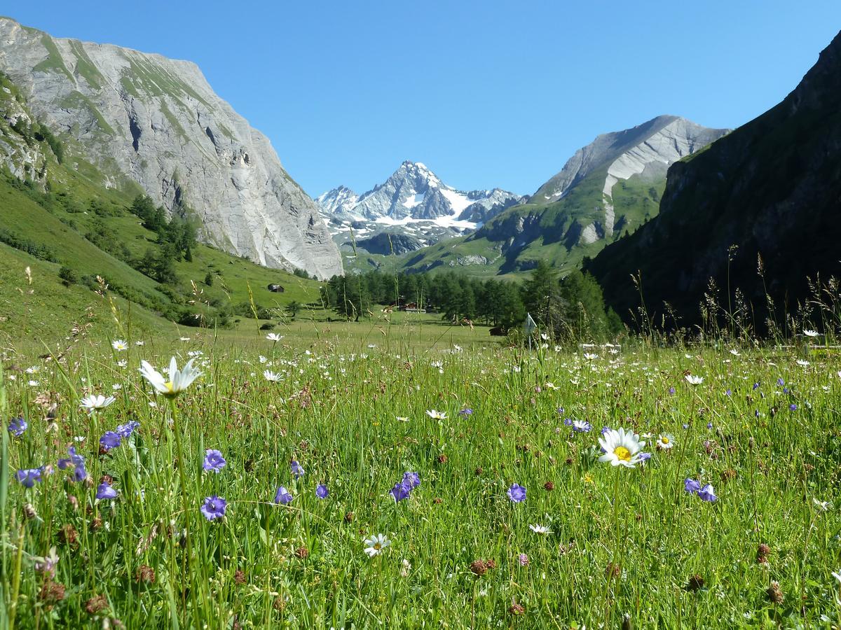 Alpengasthof Lucknerhaus Hotel Kals-am Großglockner Eksteriør billede